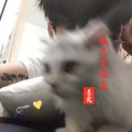 姜奕 - 派大星语录2