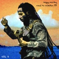 Ziggy Marley - World Revolution