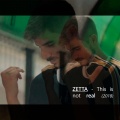 Zetta - This Is Not Real