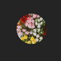 Michael Kennedy、Kilowatt Nightmare、Electron Void、Glitter Conductor、Lofi Format - Indonesia Strength