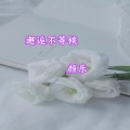 颜乐 - 邂逅不等候