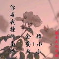 余安冉、顾小小 - 你是我撞的南墙