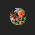Michael Kennedy、Kilowatt Nightmare、Electron Void、Lofi Format - Scientific Honey