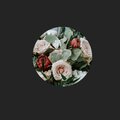 Michael Kennedy、Kilowatt Nightmare、Electron Void、Lofi Format - Bolivia Doctor