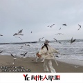 陈安排、小奶瓶、川叔 - 爱情总是让人揣怀着无限美好