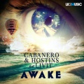 Cabañero、Hostins、Livit - Awake