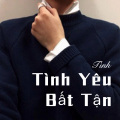 Tình Yêu Bất Tận (Remix)