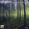 Kaan Elitok - Think Tech