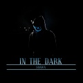 Shawn - In the Dark