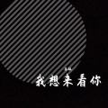 我想来看你