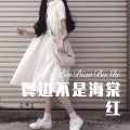 鬓边不是海棠红
