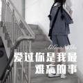DJ蜜儿 - 爱过你是我最难忘的事 (Remix)