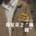 Babyx - 不舍的眷恋