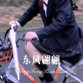 东凤翩翩