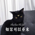 表哥 - 旧人 (Remix)