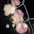 DJ.Coco - 云女孩