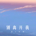 巴扎黑 - 彩云飘过的地方 (Remix)