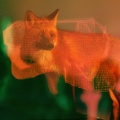 Rachel Kennedy、Web Trakker、Holograph Crown、Tonic Samples - Blow It Up