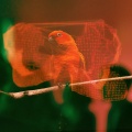 Rachel Kennedy、Web Trakker、Holograph Crown、Tonic Samples - Gauntlet of the Red Sand