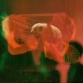 Rachel Kennedy、Web Trakker、Holograph Crown、Tonic Samples - El Maverick