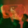 Rachel Kennedy、Web Trakker、Holograph Crown、Tonic Samples - Feel the Night