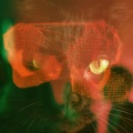 Rachel Kennedy、Web Trakker、Holograph Crown、Tonic Samples - My Step