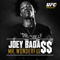 Mr. Wonderful (Explicit)