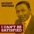 Muddy Waters & Friends - I Can't Be Satisfied