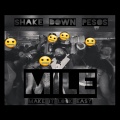 Shake down pesos、Mazie - Money Fall (Explicit)