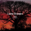 陈一鸣 - Loving strangers