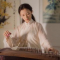 羽音未了 - 琵琶行