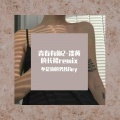 不是你的男孩Ray - 淡黄的长裙-青春有你2Melody