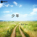 少年