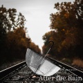 Pale aqua、Penguins - After the Rain