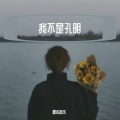 僵诺音乐 - 我不是孔明 (DJ版)