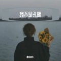 僵诺音乐 - 我不是孔明