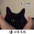 明洋 - 苏幕遮