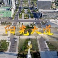 代鑫 - 阳光大道