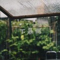 Y.A - 下暴雨