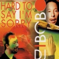 Hard to Say I'm Sorry (Radio Version)