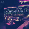 Fly Action Republic - What We Gon Do (Explicit)