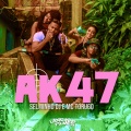 Mc Torugo、Selminho DJ - AK 47 (Remix|Explicit)