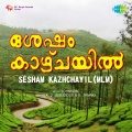 K.J. Yesudas、s. janaki - Kannukalil Pooviriyum