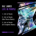 Kaz James、Ben Pearce - Life In Purple (Ben Pearce Remix)