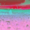 Michael Kennedy、Fruit Blooming、Aloe Vera Coast、A List Tracks - Rocky River
