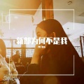 琳柒 - 新郎为何不是我