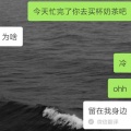 龍角散 - 回憶錄