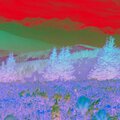 Michael Kennedy、Fruit Blooming、Aloe Vera Coast、A List Tracks - Ocean Texture