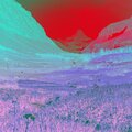 Michael Kennedy、Fruit Blooming、Aloe Vera Coast、A List Tracks - Wind and Ocean