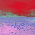 Michael Kennedy、Fruit Blooming、Aloe Vera Coast、A List Tracks - Low Ocean Sound
